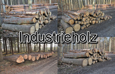 Industrieholz